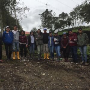 Monitoreo de Restauración Forestal Llaucay - Tabacay
