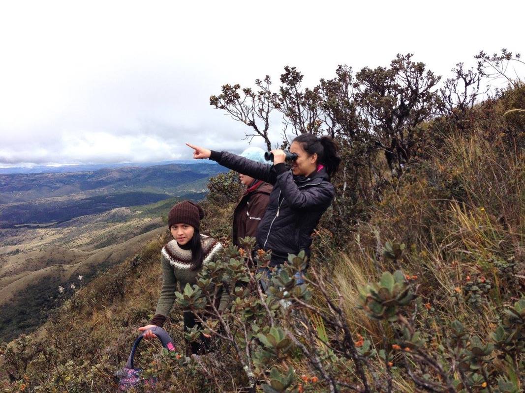 Primer censo regional del Cóndor Andino en el sur del Ecuador