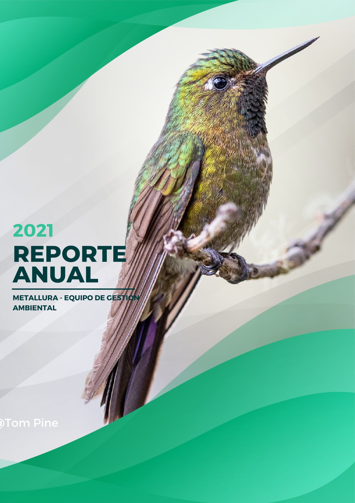 reporte anual 2023